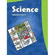 Science CLASS 06